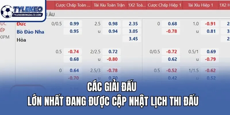 Các giải đấu lớn nhất đang được cập nhật lịch thi đấu
