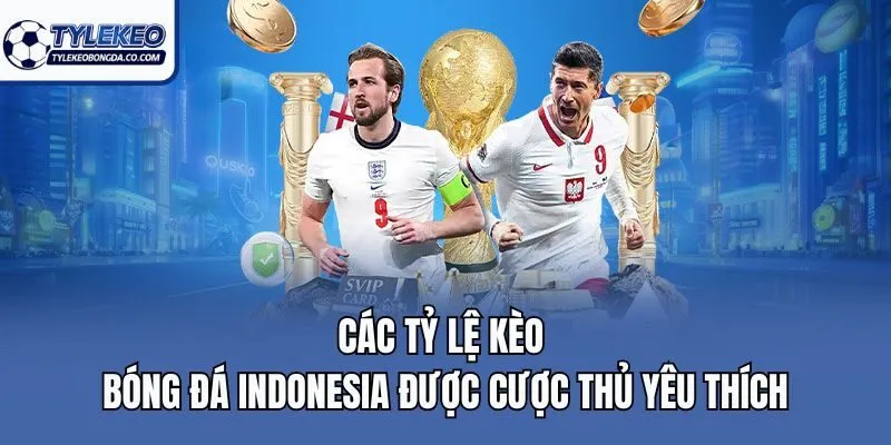 Các tỷ lệ kèo bóng đá Indonesia được cược thủ yêu thích