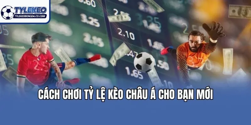 Cách chơi tỷ lệ kèo Châu Á cho bạn mới