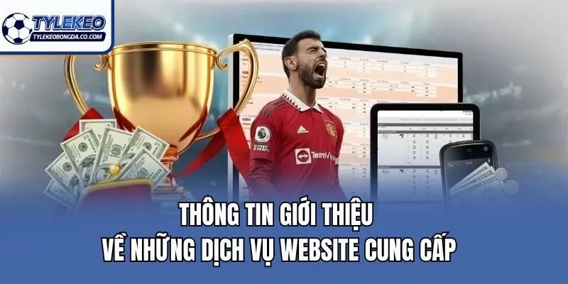 Thông tin giới thiệu về những dịch vụ website cung cấp