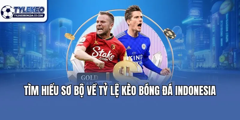 Tìm hiểu sơ bộ về tỷ lệ kèo bóng đá Indonesia