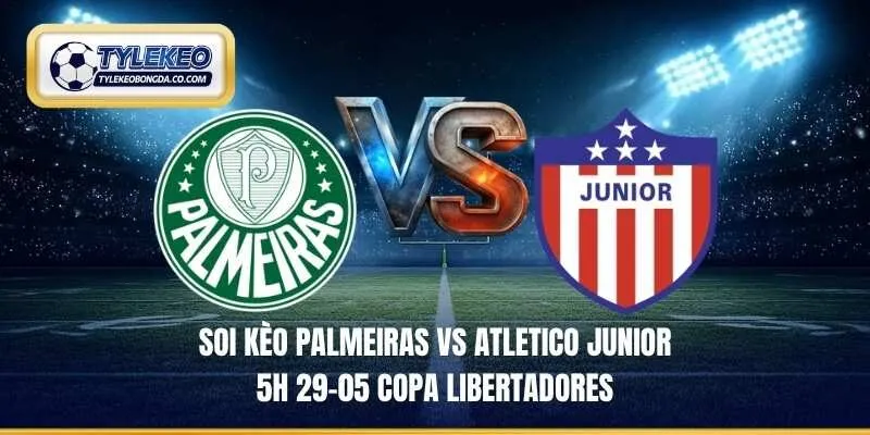 soi kèo Palmeiras vs Atletico Junior 5h 29-05 Copa Libertadores