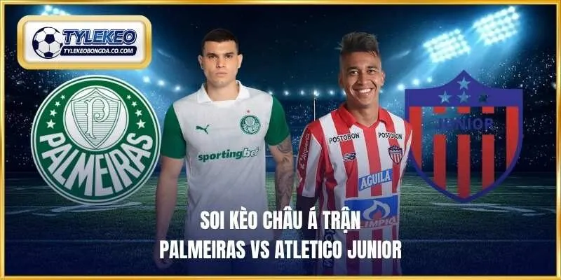 Soi kèo châu Á trận Palmeiras vs Atletico Junior